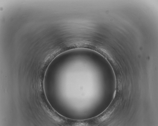 X0000073710453200608101843