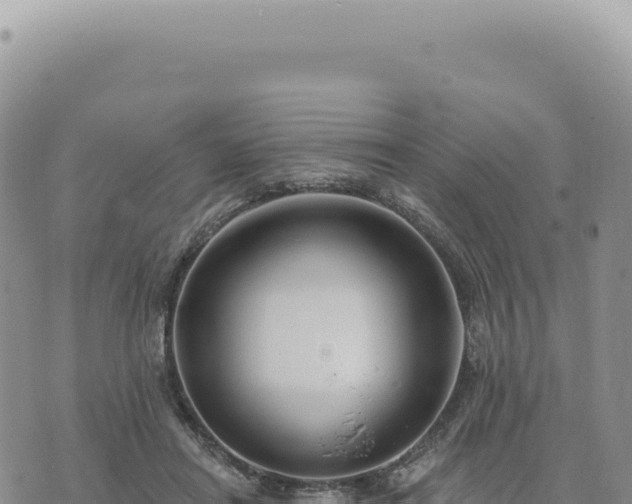 X0000073710454200608101843