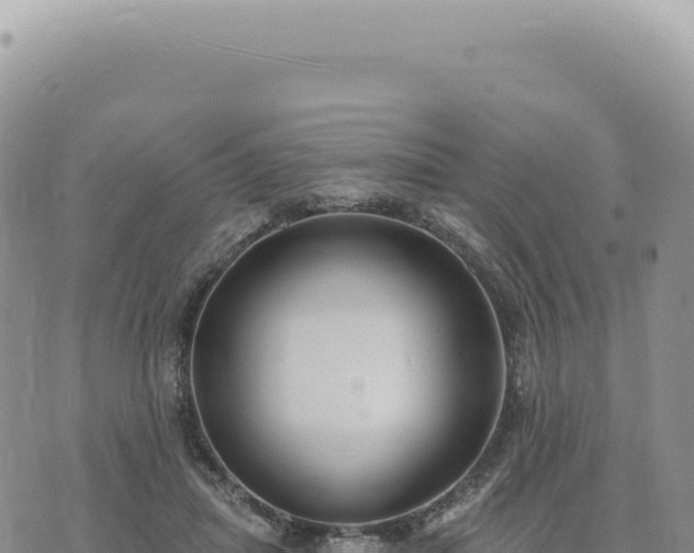 X0000073710455200608101843