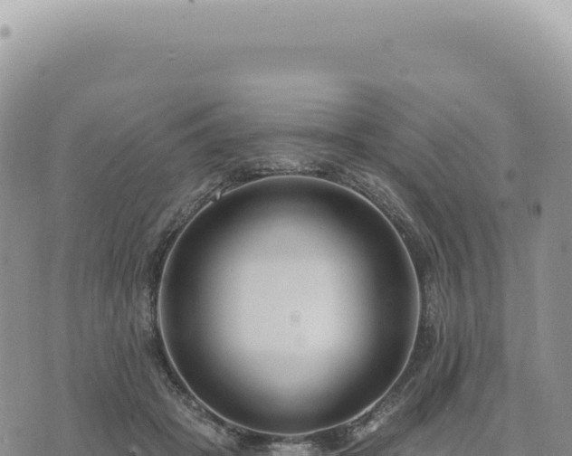 X0000073710457200608101843