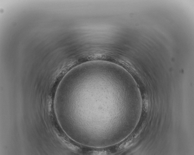 X0000073710458200608101843