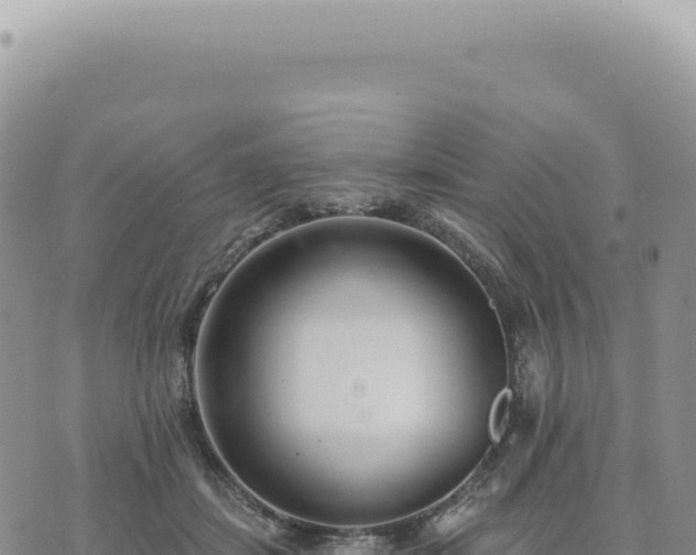 X0000073710459200608101843