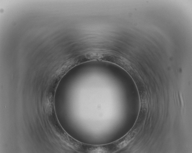 X0000073710460200608101843