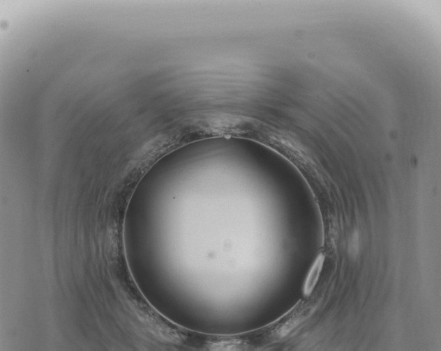 X0000073710461200608101843