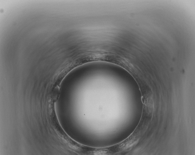 X0000073710462200608101843