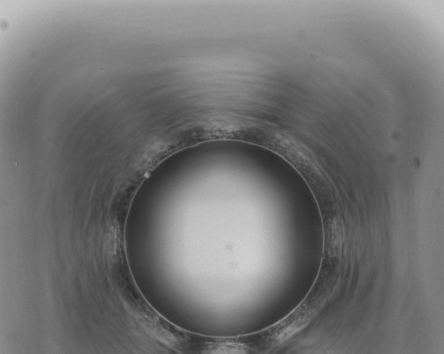 X0000073710463200608101843