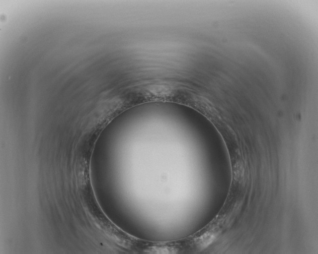 X0000073710464200608101843