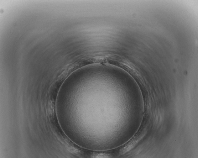 X0000073710467200608101843