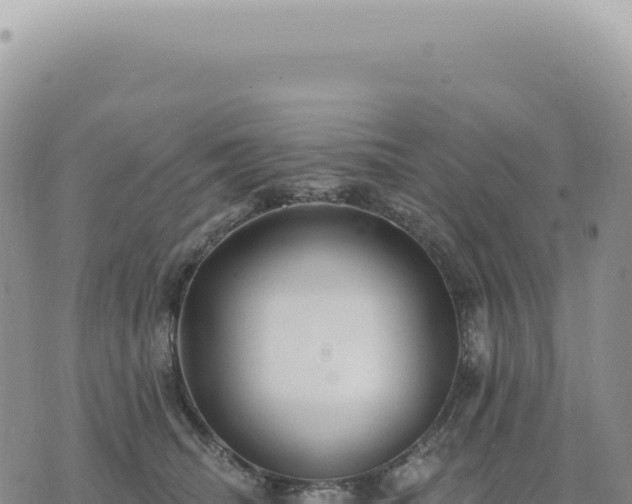 X0000073710468200608101843