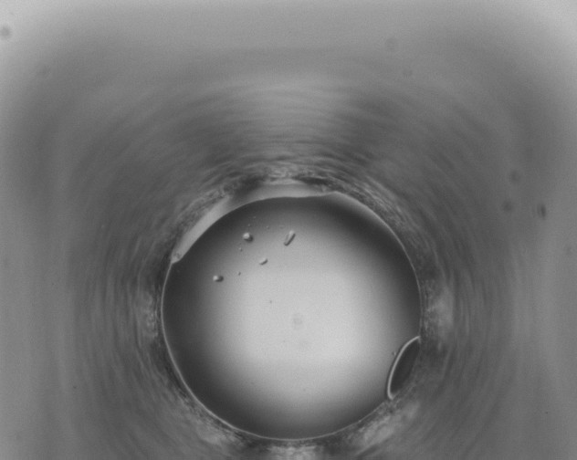 X0000073710469200608101843