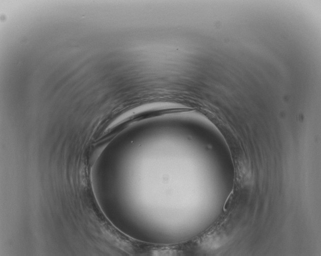 X0000073710470200608101843