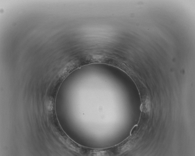 X0000073710472200608101843