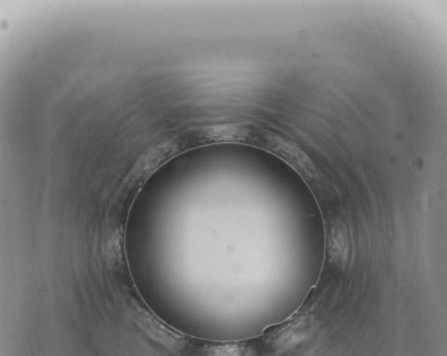 X0000073710473200608101843