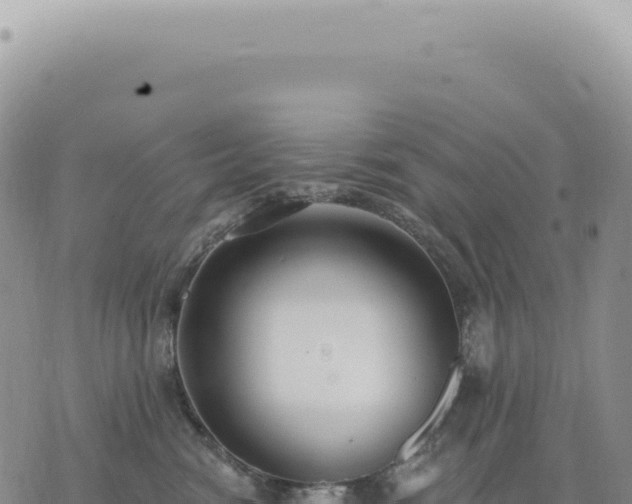 X0000073710474200608101843