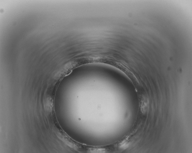 X0000073710476200608101843