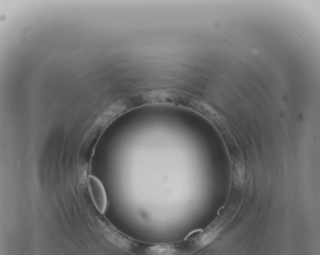 X0000073710477200608101843