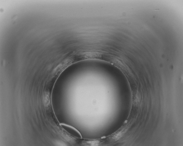 X0000073710478200608101843