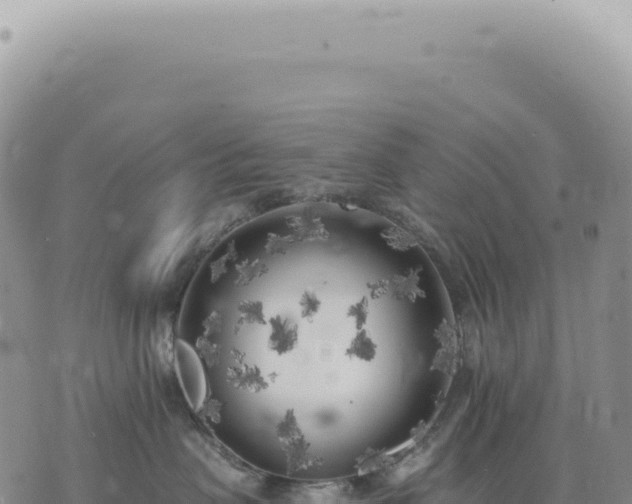 X0000073710479200608101843