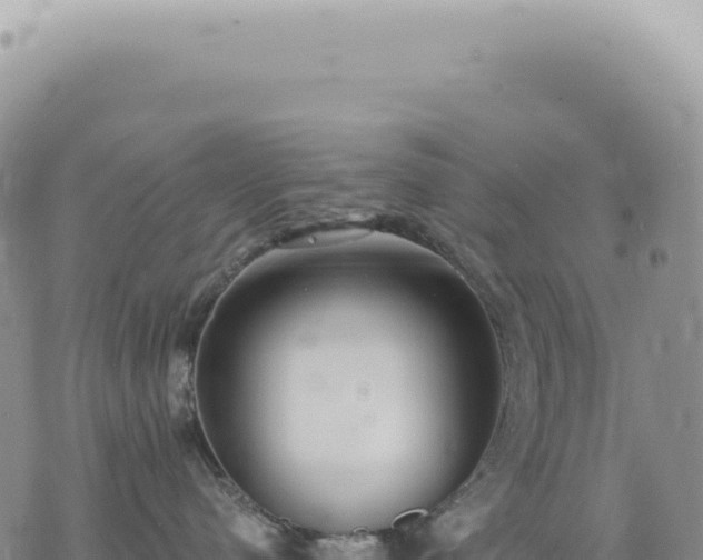 X0000073710480200608101843