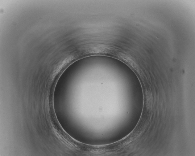 X0000073710482200608101843