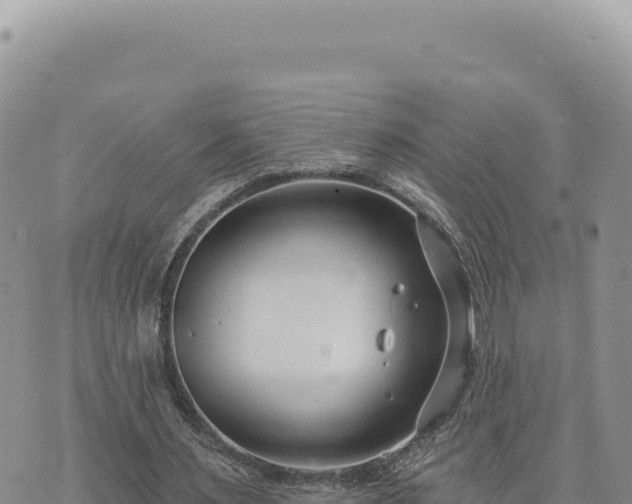 X0000073710483200608101843