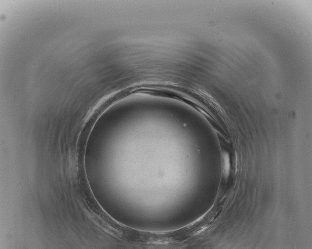 X0000073710484200608101843