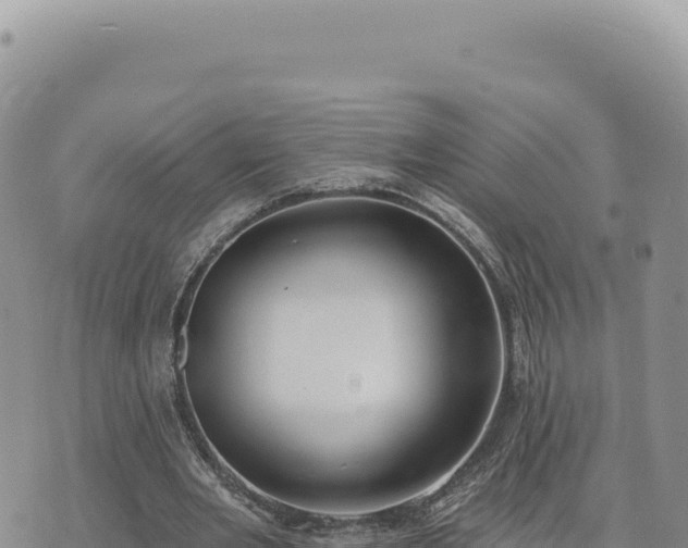 X0000073710485200608101843