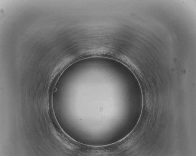 X0000073710486200608101843