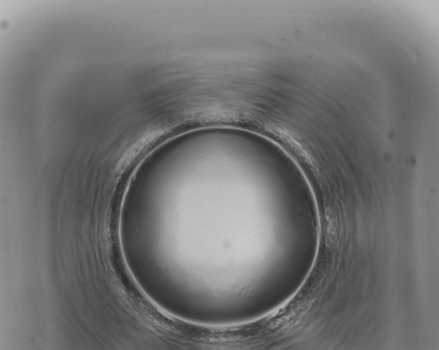 X0000073710487200608101842