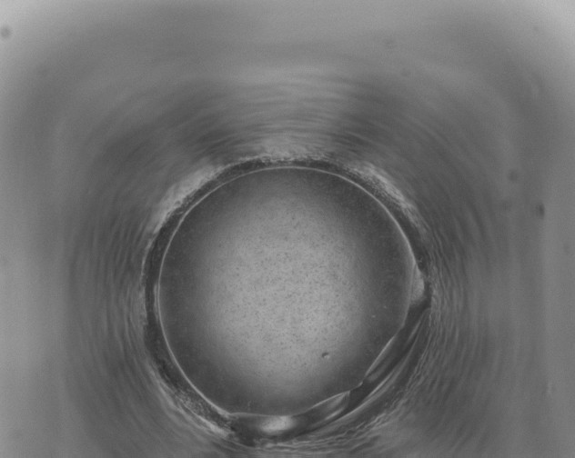 X0000073710488200608101842