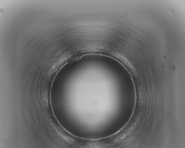 X0000073710489200608101842