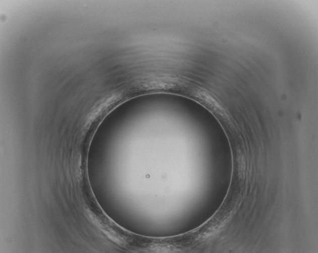 X0000073710490200608101842