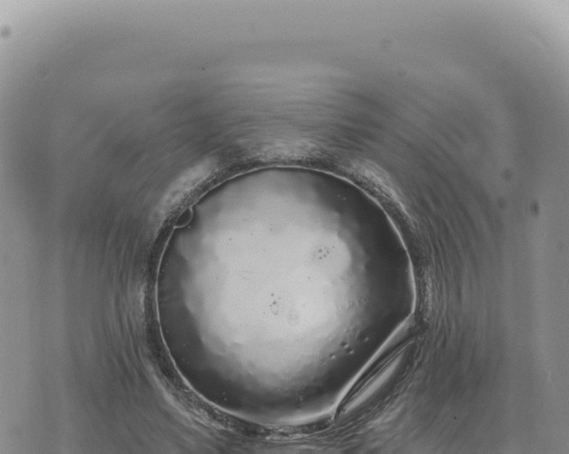 X0000073710491200608101842