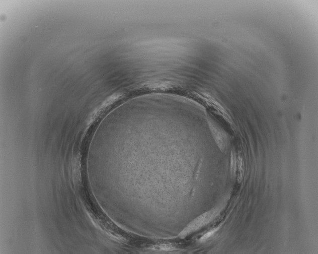 X0000073710492200608101842