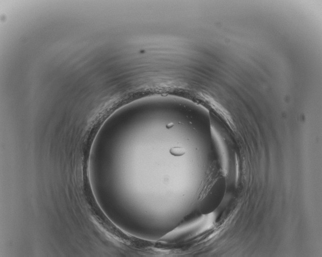 X0000073710493200608101842