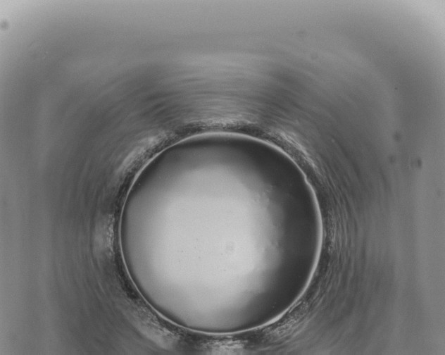 X0000073710495200608101842