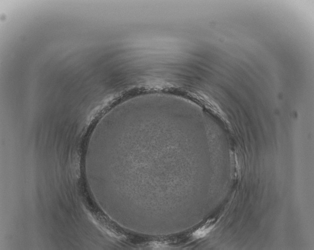 X0000073710496200608101842