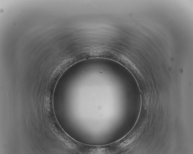 X0000073710497200608101842