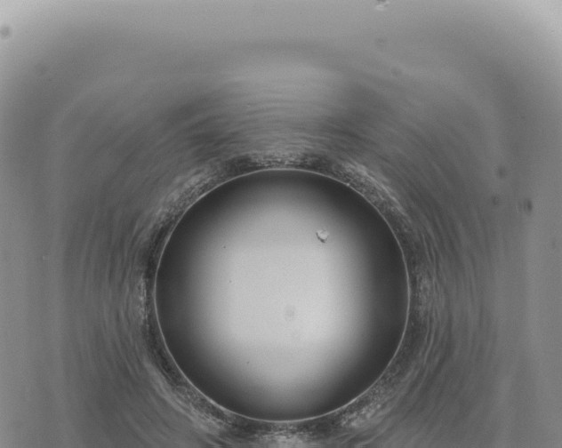 X0000073710498200608101842