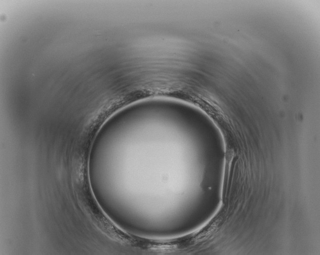 X0000073710499200608101842