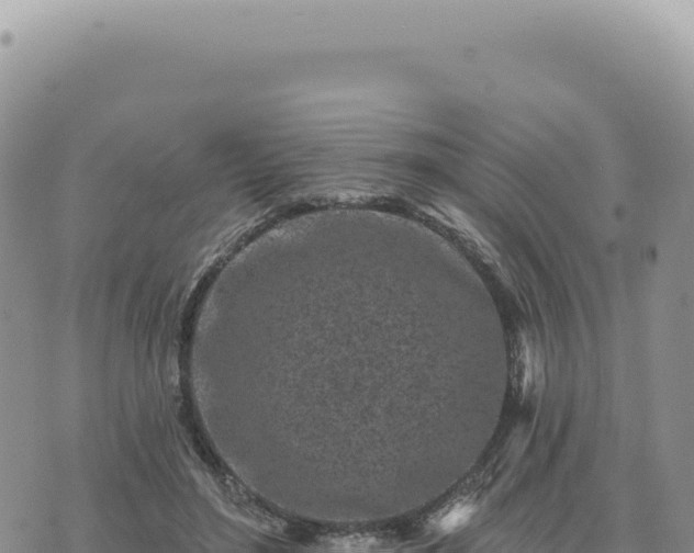 X0000073710500200608101842