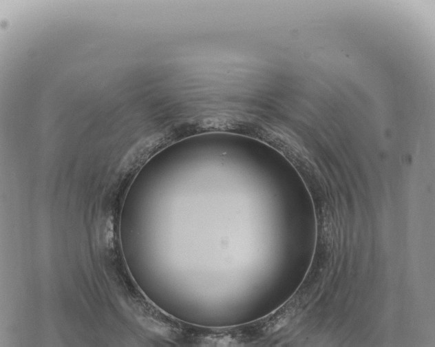 X0000073710502200608101842