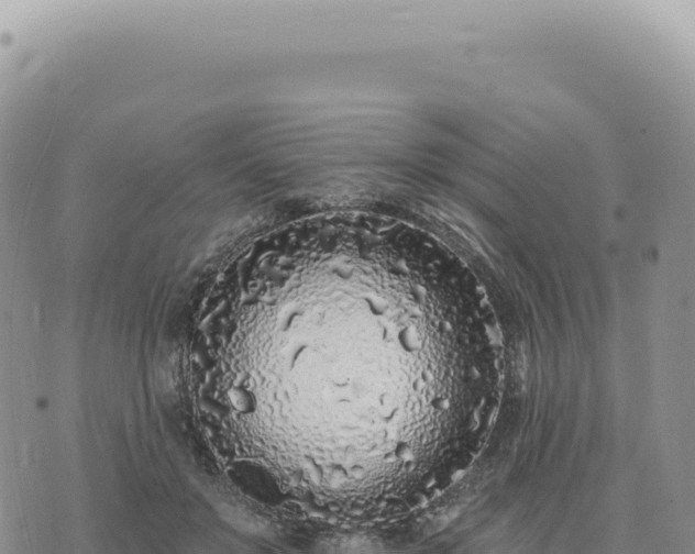 X0000073710503200608101842