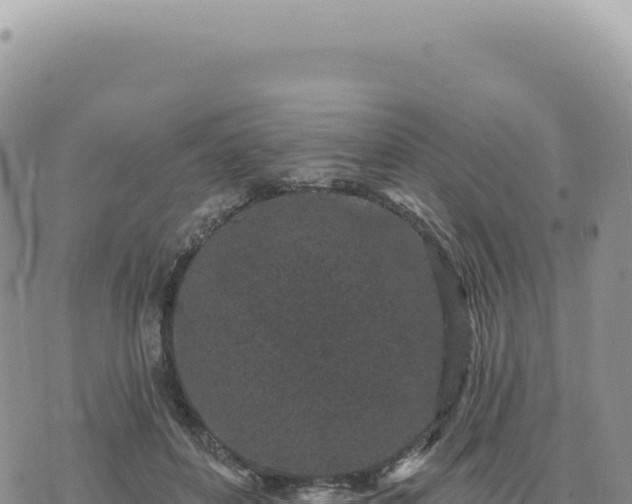 X0000073710504200608101842