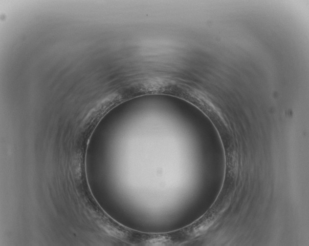 X0000073710505200608101842