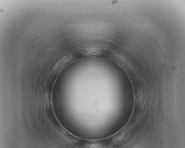 X0000073710506200608101842