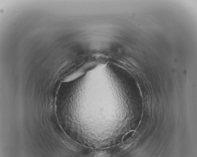 X0000073710507200608101842