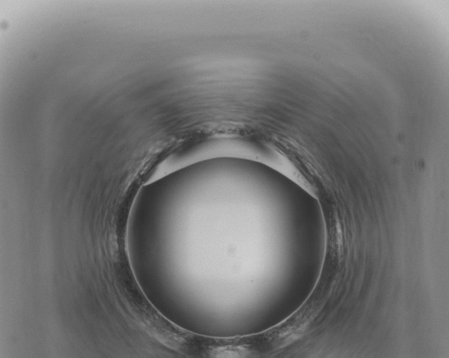 X0000073710508200608101842