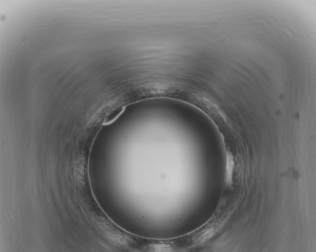 X0000073710509200608101842