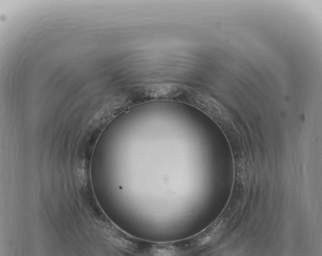 X0000073710510200608101842